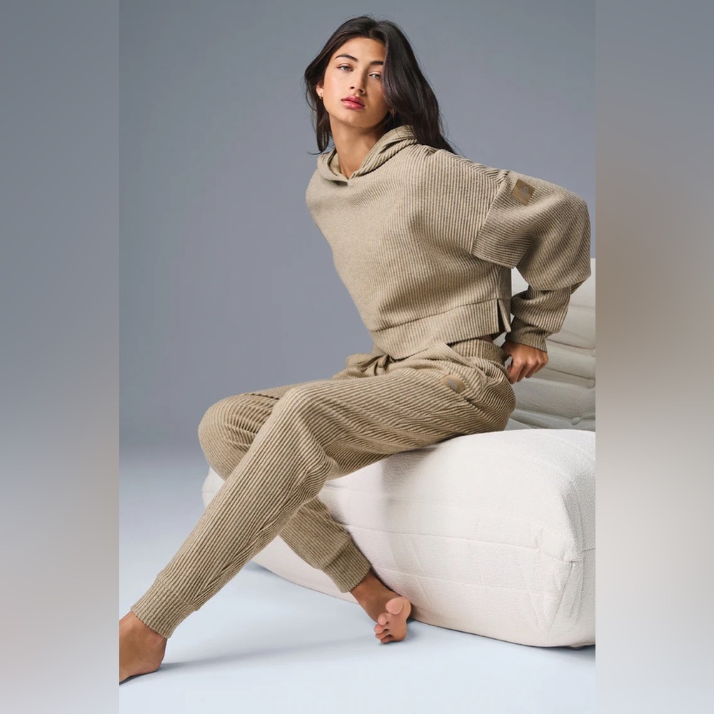 ALO Yoga Muse Cropped Soft Ribbed Knit Hoodie in Gravel Heather Medium - Picture 2 of 5